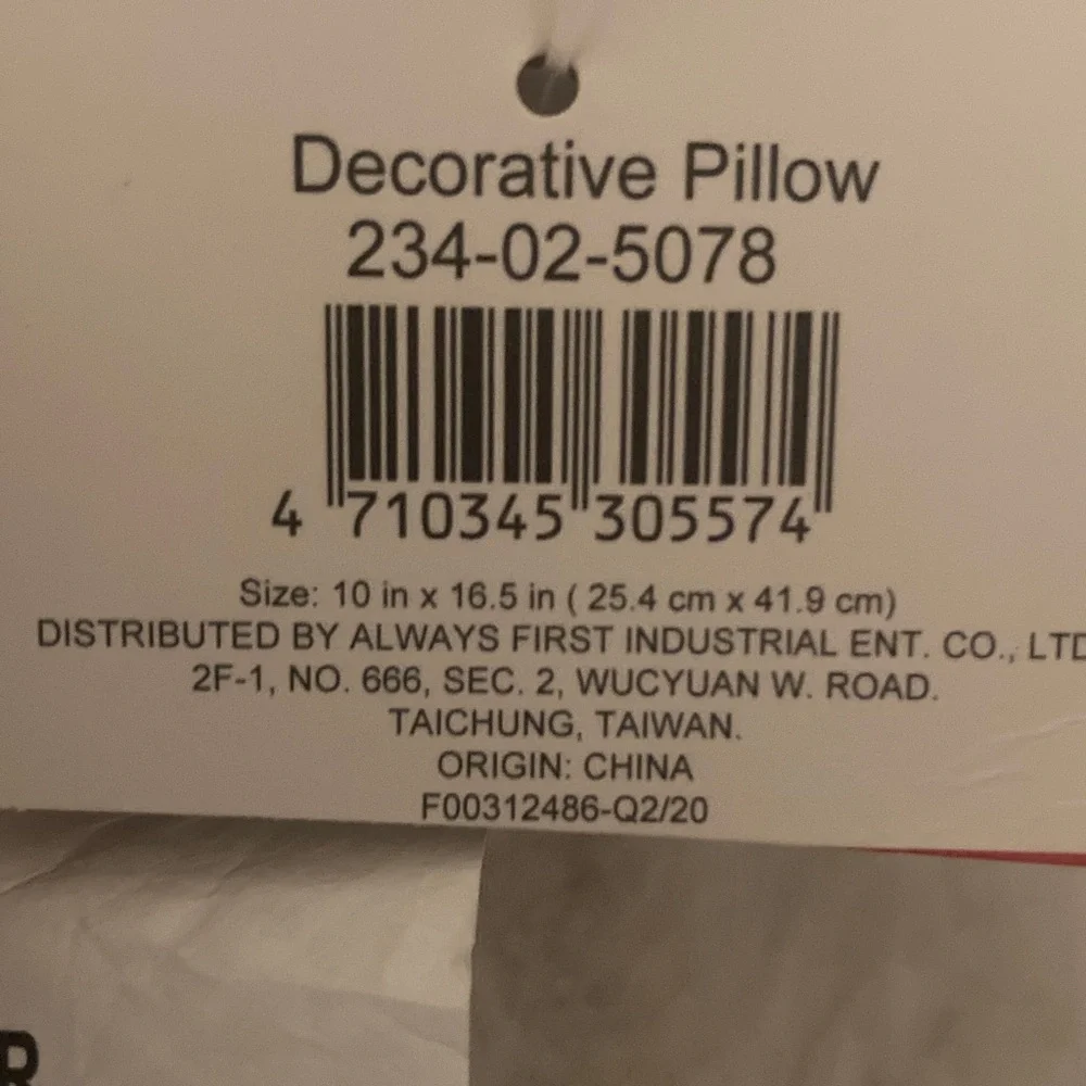 Target BP 2020 Welcome Decorative Pillow